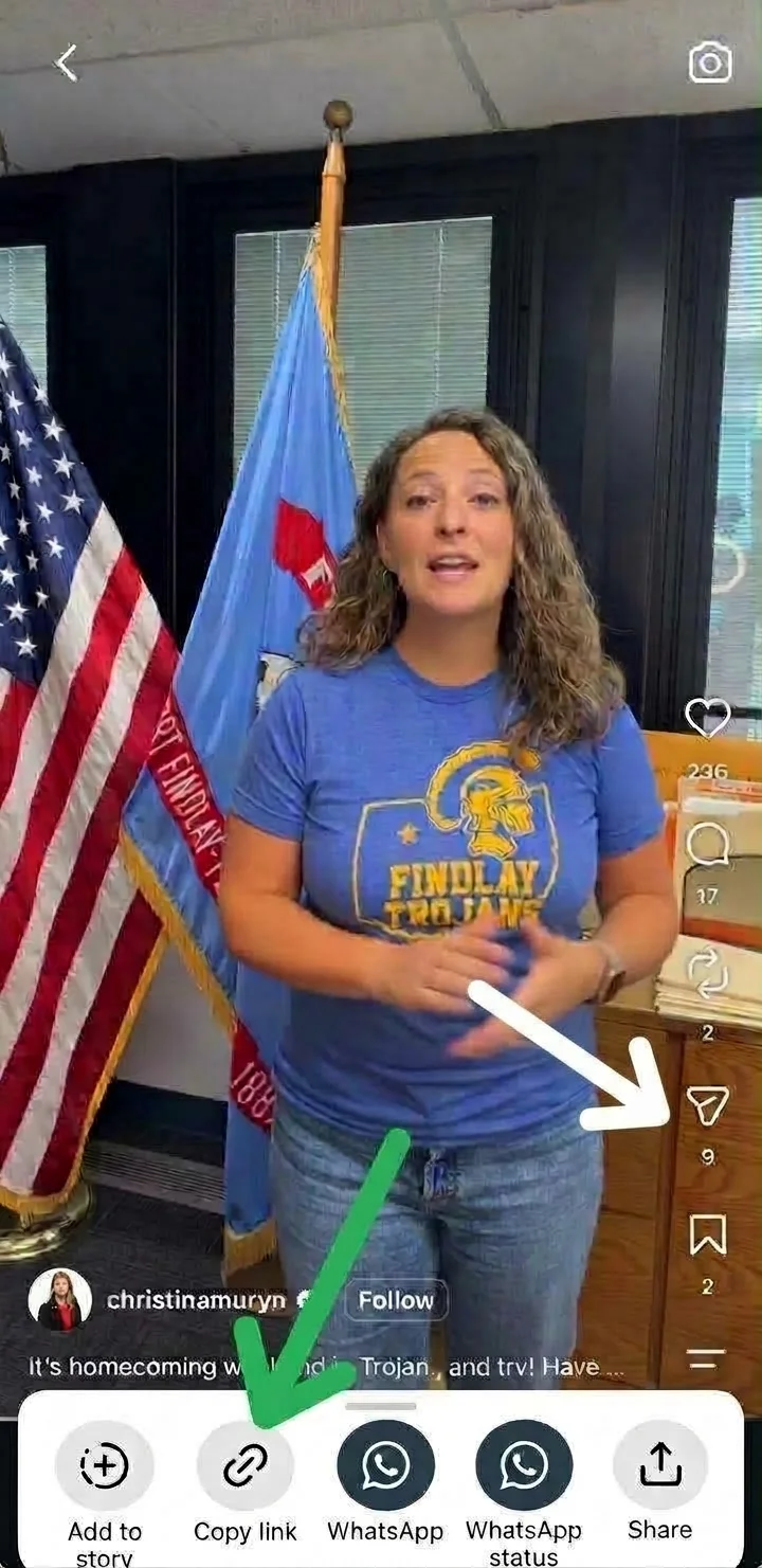 Instagram post menu open on a video, with the Copy link option highlighted